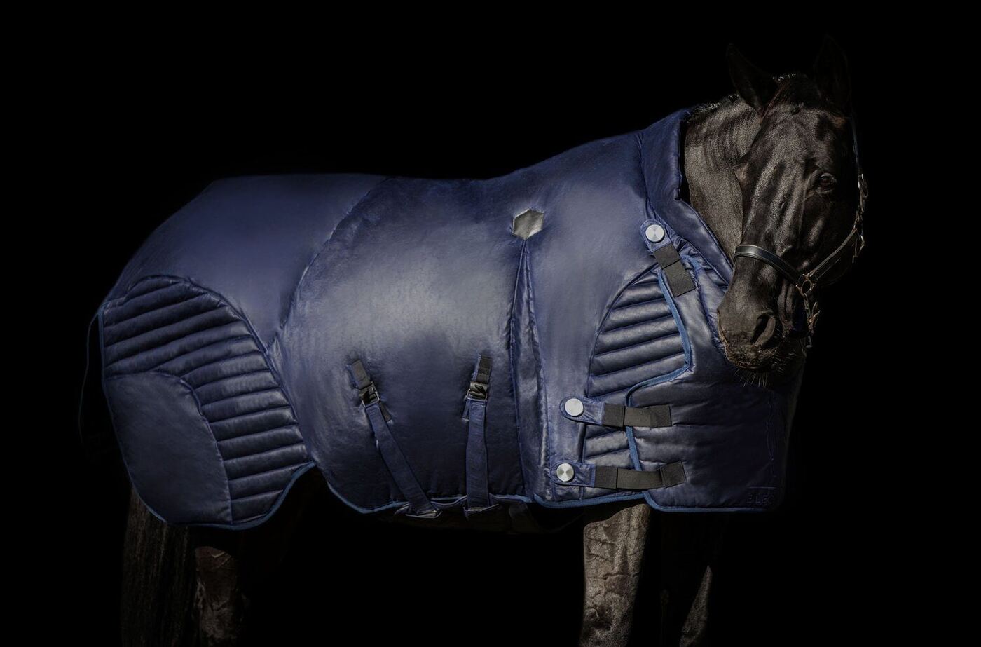 Couverture d'hiver E-Legansy sur un cheval, fond noir
