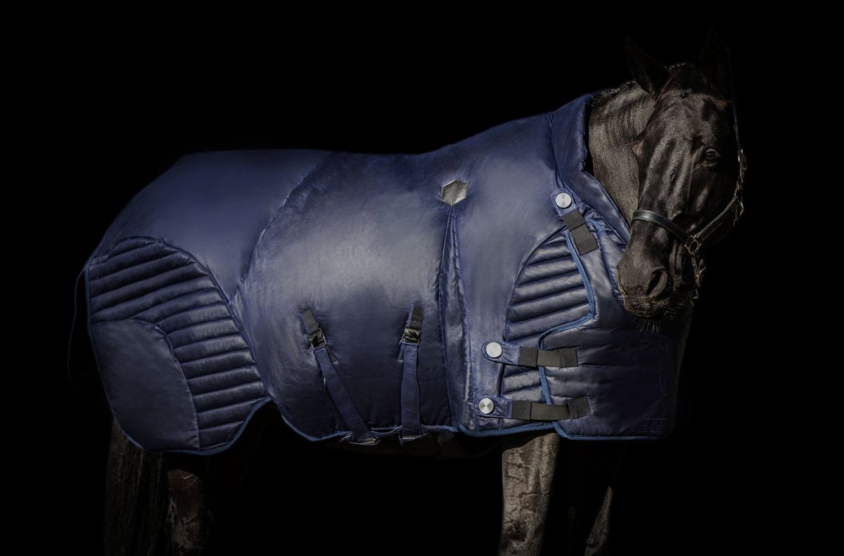 Couverture d'hiver E-Legansy sur un cheval, de profil, fond noir